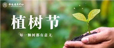 每一棵樹(shù)都有意義——3.12植樹(shù)節 栽種生命的新綠 點(diǎn)亮自然的微光